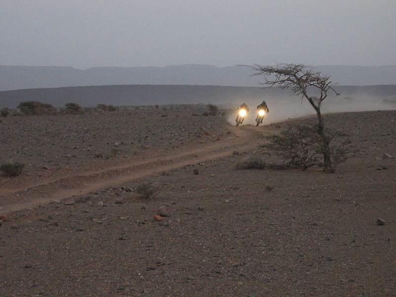 dos hermanos en el desierto