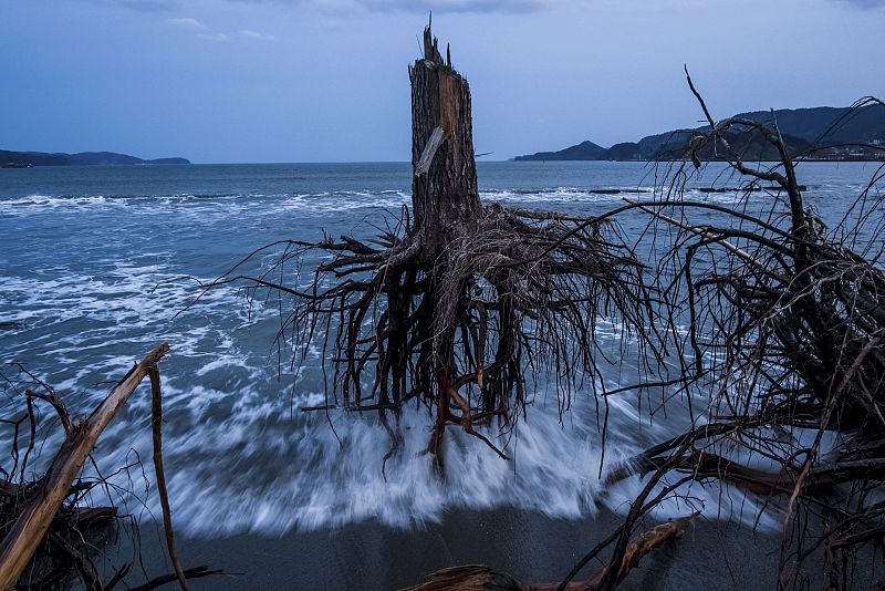 Daniel Berehulak de Australia ha ganado el tercer premio en la categoría General News Stories con la serie Japón después de la ola