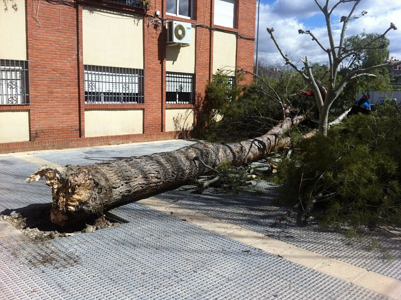 EFECTOS DEL VIENTO