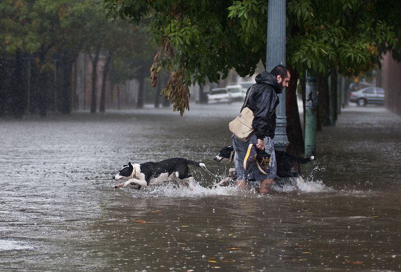 Un hombre y sus perros tratan de atravesar la riada