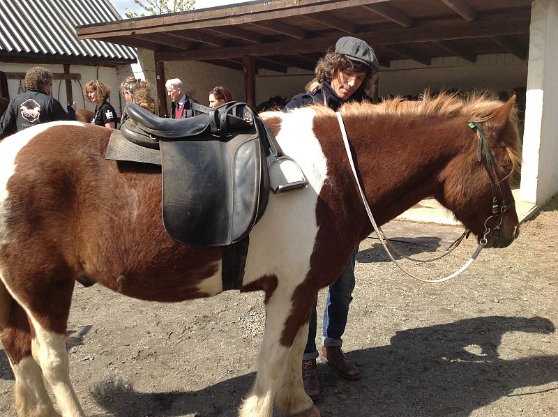 Juan acaricia uno de los caballos islandeses. Este animal se diferencia del resto de los de su especie porque es el único caballo que puede realizar cinco pasos: paso, trote, galope, tölt y el paso volador.