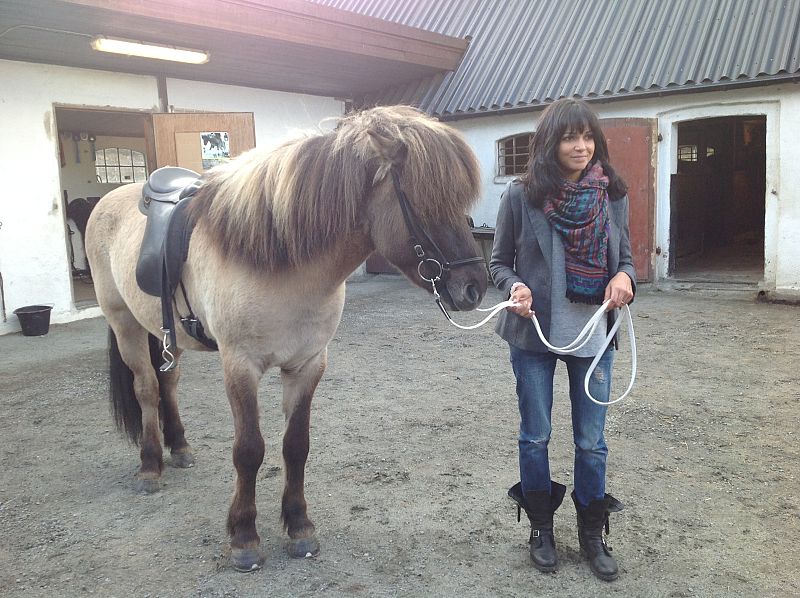 El sueño de Morfeo se ha ido de visita turística a las afueras de Malmö para adentrarse en los bosques de la provincia de Escania. Entre otras cosas, el grupo ha visitado una granja de caballos islandeses.