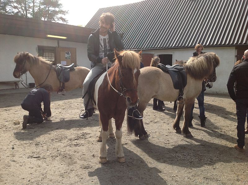 David ha sido el primero en subirse a uno de los caballos de la granja