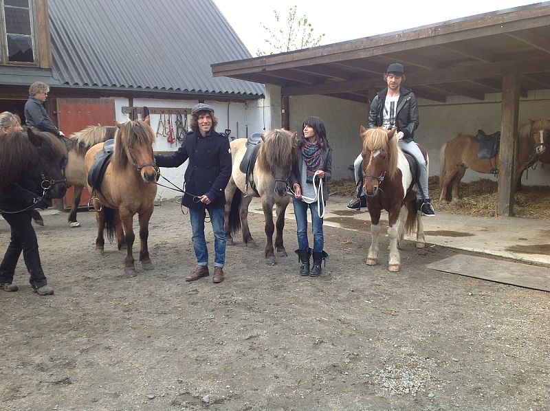 El sueño de Morfeo, de visita a una granja de caballos islandeses en Blentarp (Escania)