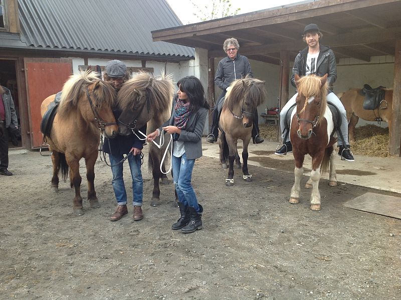 Romántico momento de dos caballos islandeses