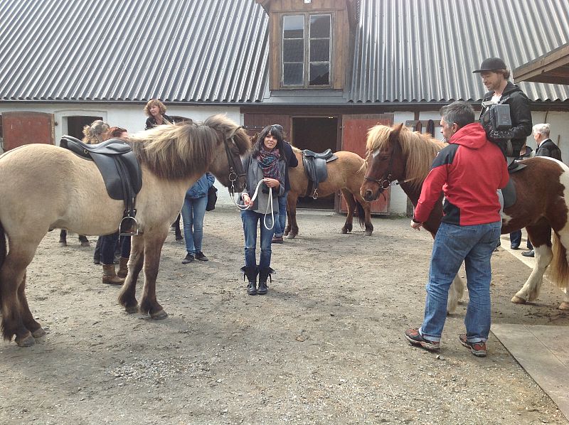 El sueño de Morfeo, de visita a una granja de caballos islandeses en Blentarp (Escania)