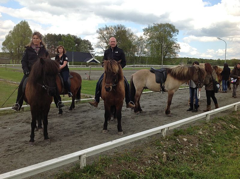 Javier, gaitero que acompañará a El sueño de Morfeo sobre el escenario de Eurovisión 2013, se ha mostrado muy seguro con los caballos islandeses