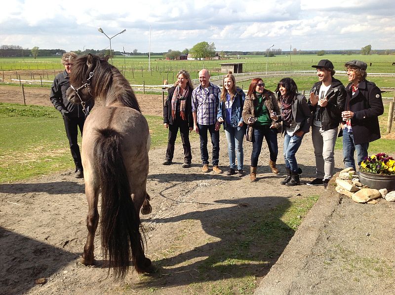 Uno de los momentos más divertidos de la mañana ha tenido lugar cuando el grupo ha interpretad "Contigo hasta el final" junto a un "caballo cantante"