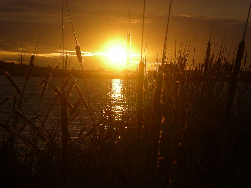 Puesta de sol en Daimiel