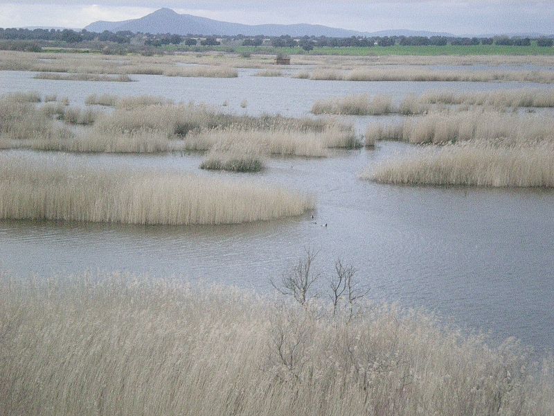 El parque está totalmente inundado