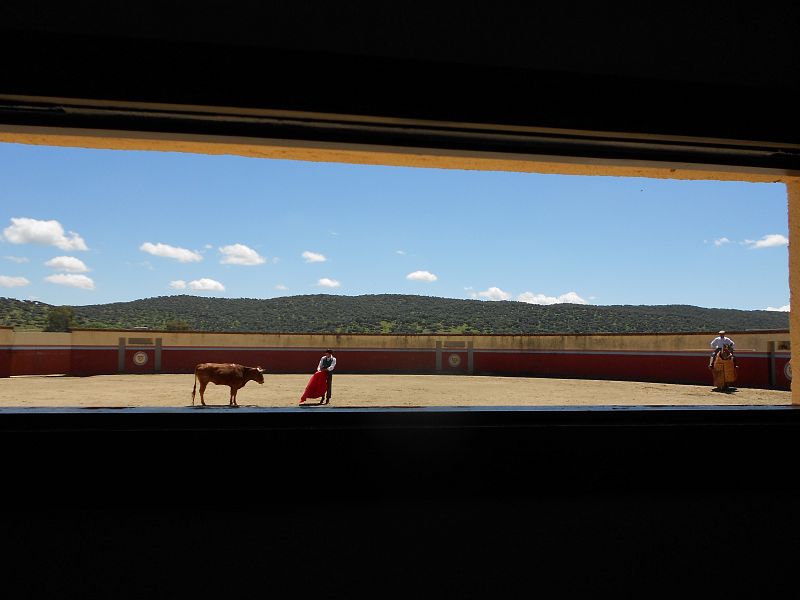 Tentadero finca de Mónica