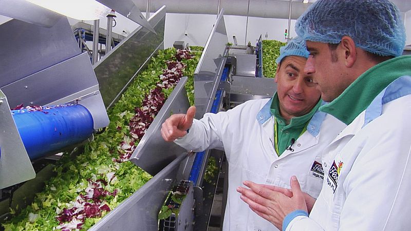 Cómo se elabora una bolsa de ensalada