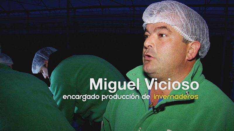 Cómo se elabora una bolsa de ensalada