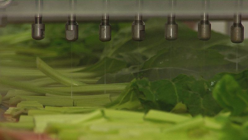 Cómo se elabora una bolsa de ensalada