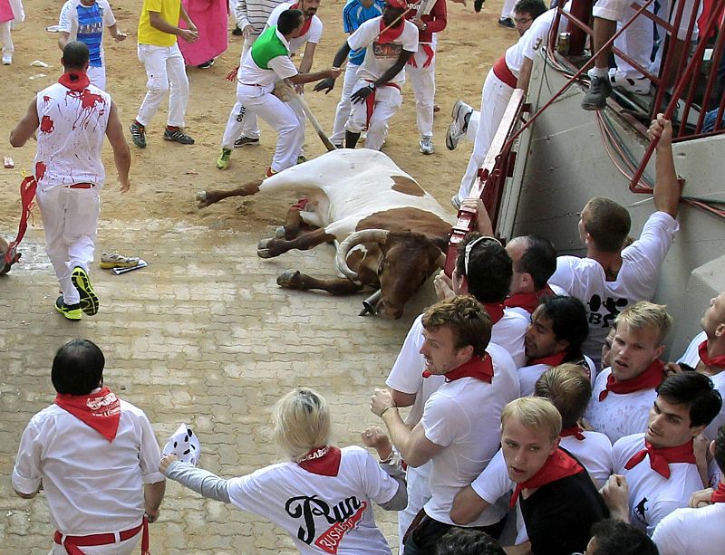 Uno de los cabestros choca con gran fuerza contra un poste de madera