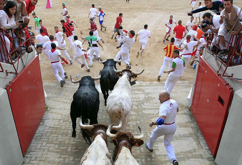 El resto de la manada ha entrado junta a la plaza