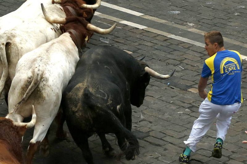 Un mozo se enfrenta a la manada en el sexto encierro de San Fermín 2013 