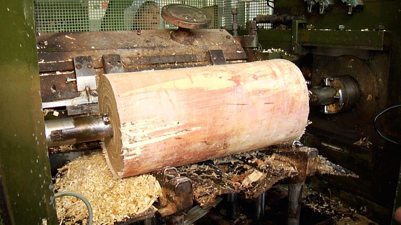 Cómo se fabrican los palillos