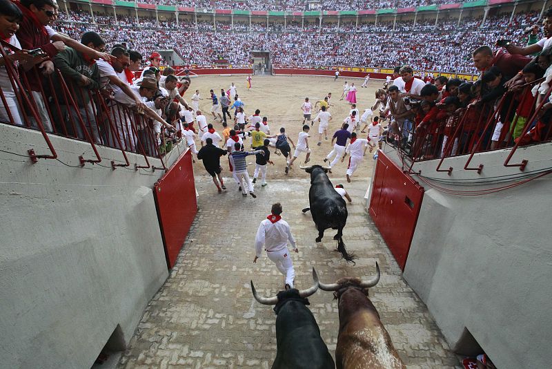 A runner falls next to a Miura fighting bull at the entrance to the bull ring during the last running of the bulls of the San Fermin festival in Pamplona