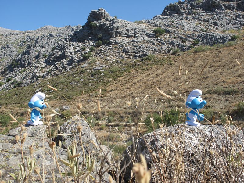 Pitufo explorador y Pitufo ingeniero visitando la zona a reforestar