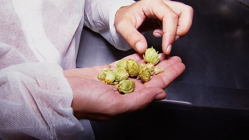 ¿Cómo se elabora la cerveza?