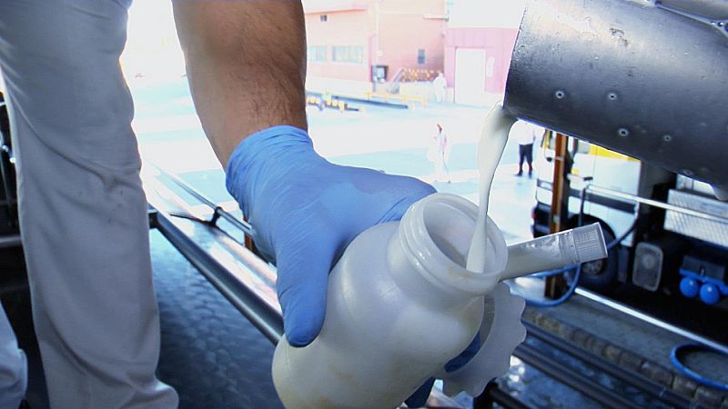 Cómo se hace la leche