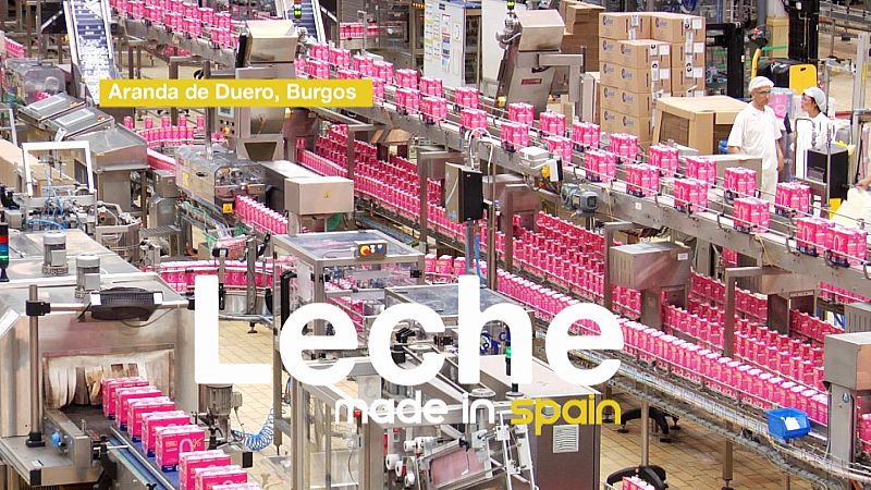 Cómo se hace la leche