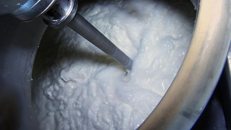 Cómo se hace la leche