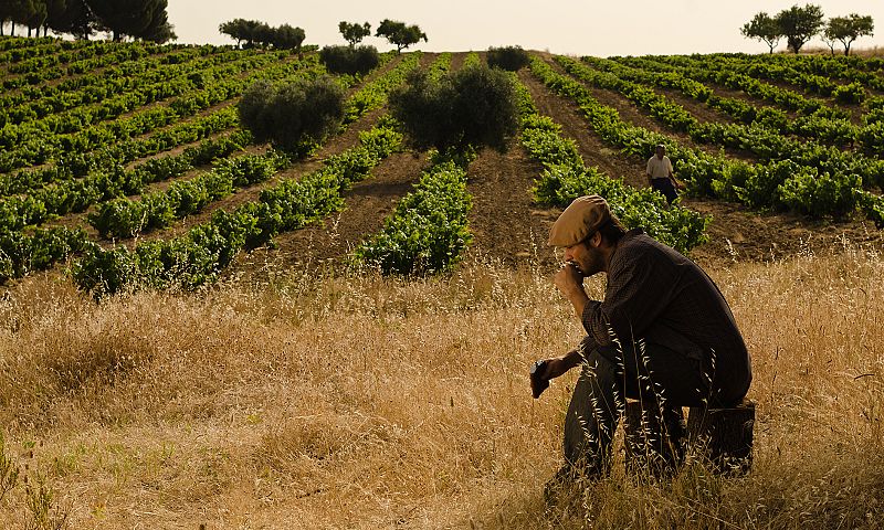 Las mejores imágenes de los capítulos 61-65