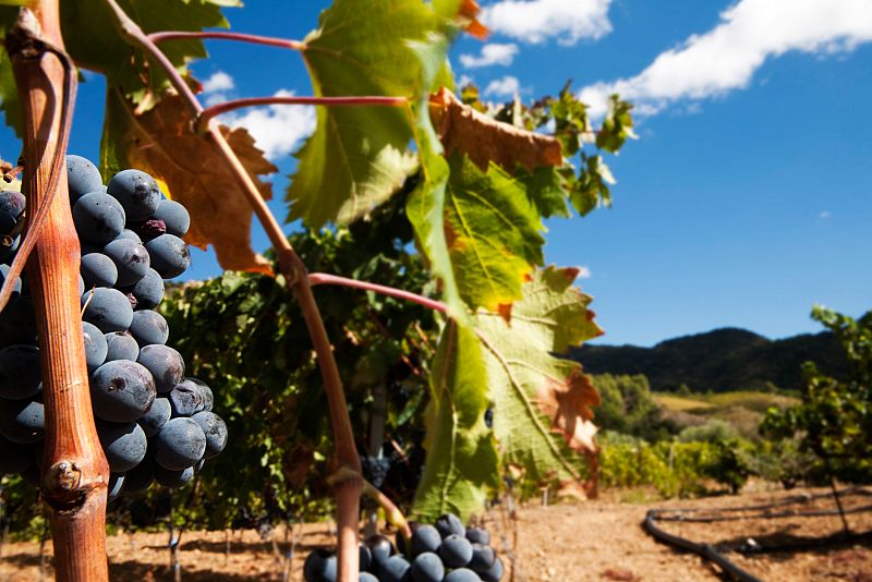 España A Ras de Cielo - España vista como un arcoiris. La España que no vemos