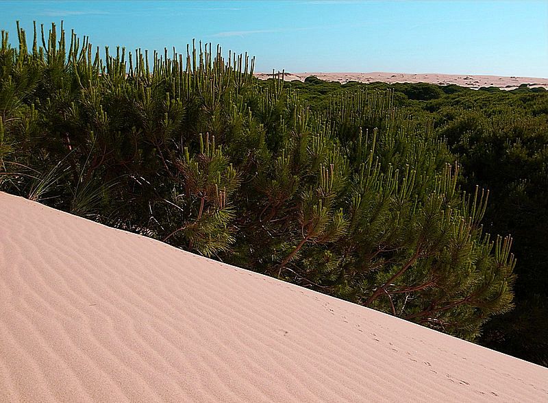 España A Ras de Cielo - España vista como un arcoiris. La España que no vemos
