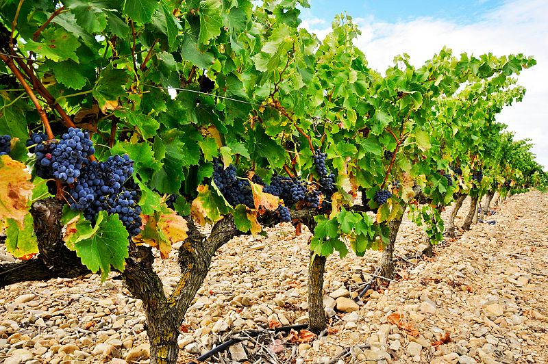 España A Ras de Cielo - España vista como un arcoiris. La España que no vemos