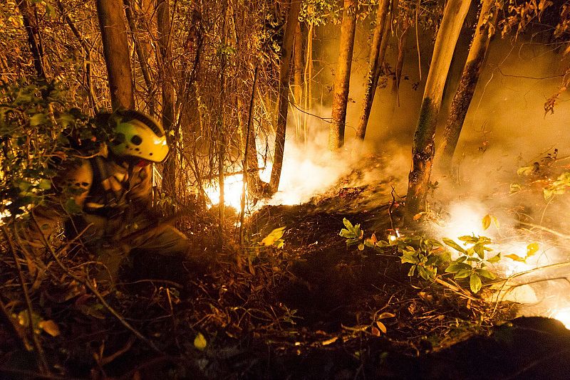 Incendios en los municipios gallegos de Negreira y Fonsagrada