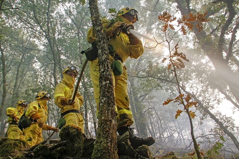 Incendio en el municipio de Fonsagrada, en Lugo