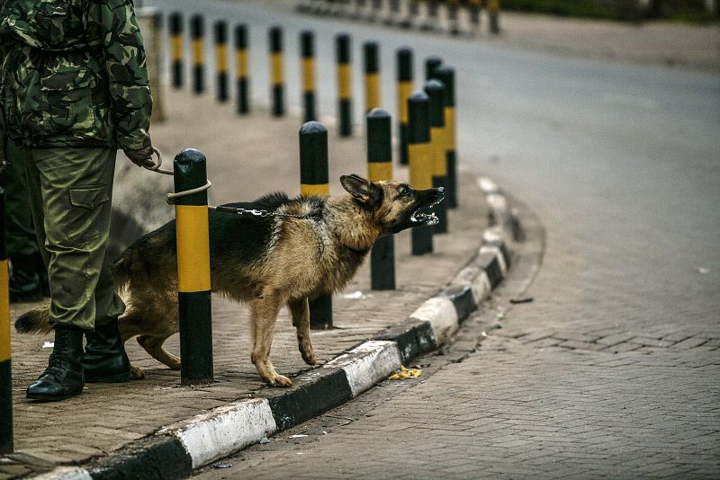 Las fuerzas de seguridad keniatas emplean perros adiestrados para liberar a los rehenes