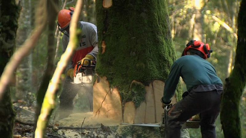 España a ras de cielo - España, de mil colores