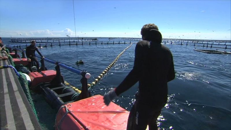 España a ras de cielo - Vivimos del mar