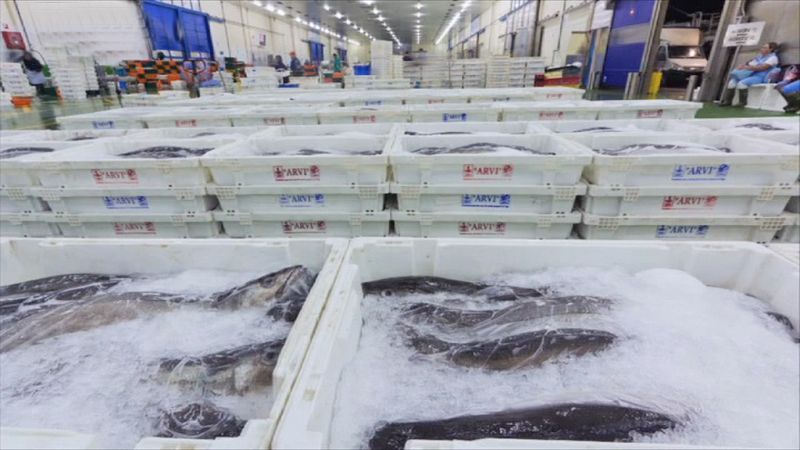 España a ras de cielo - Vivimos del mar