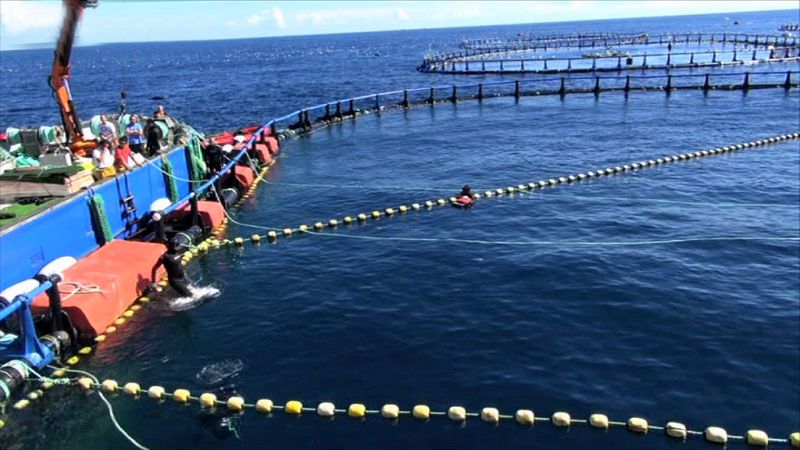 España a ras de cielo - Vivimos del mar