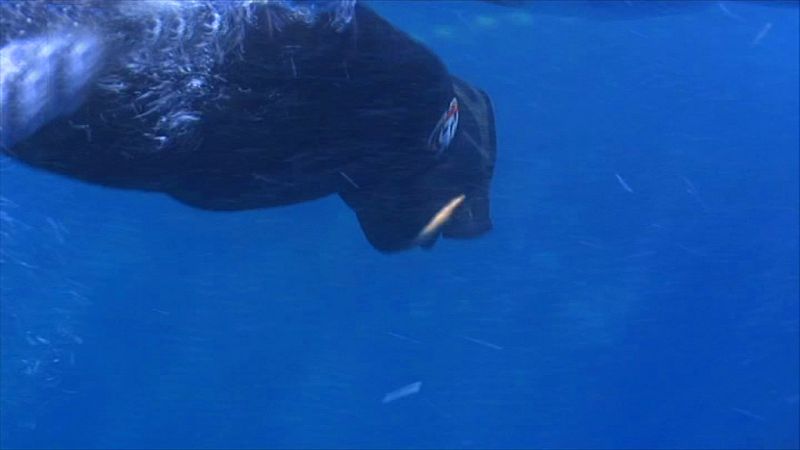 España a ras de cielo - Vivimos del mar