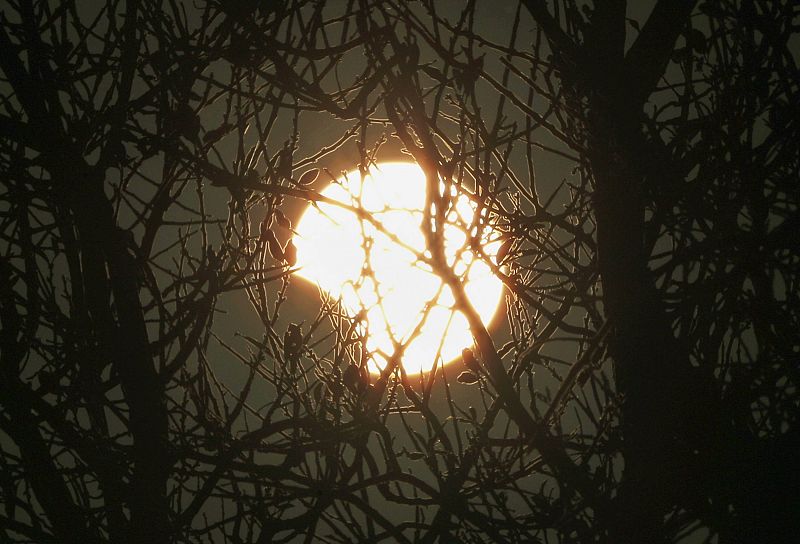 Partial Solar eclipse seen in Israel