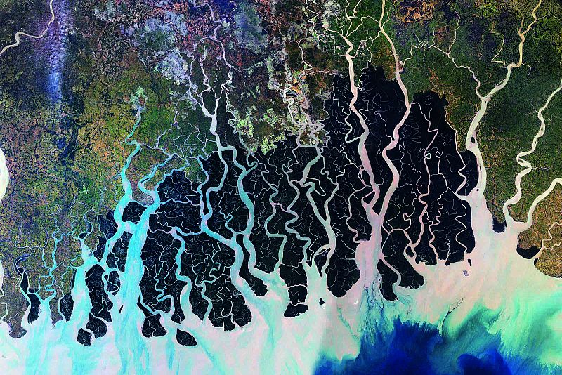 Los manglares de los Sundarbans, en el golfo de Bengala (India)