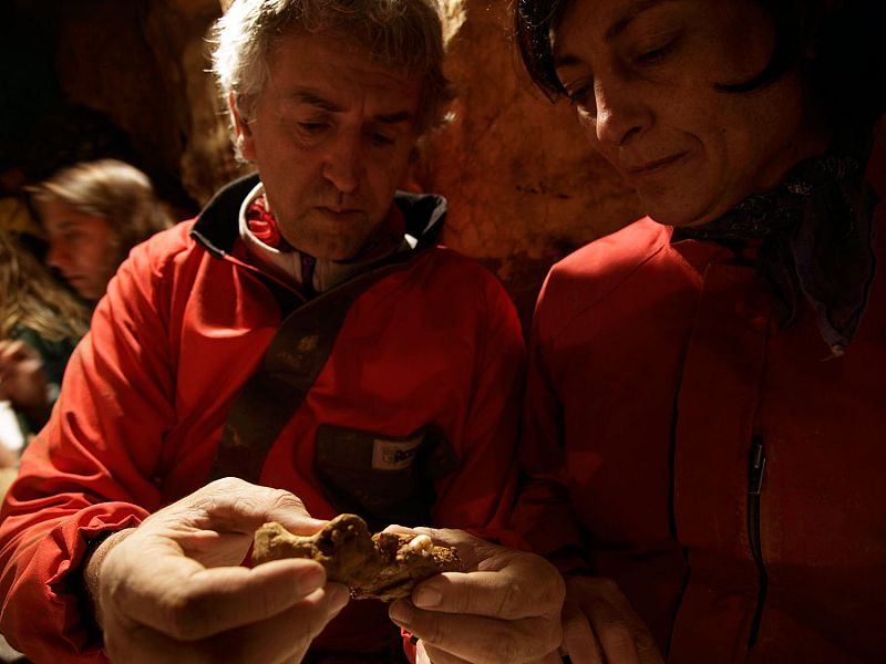 Juan Luis Arsuaga observando uno de los fósiles hallados.