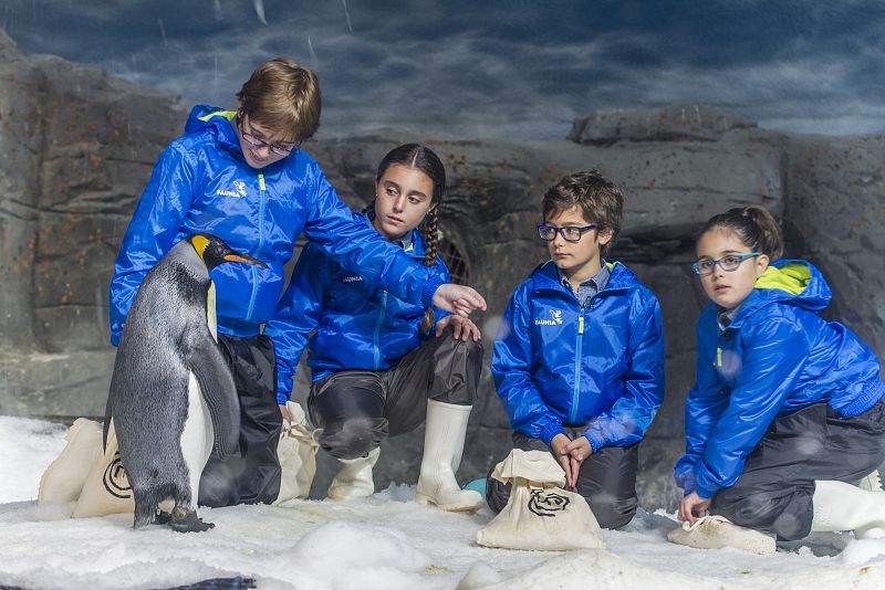 MasterChef Junior - Programa 4. Faunia