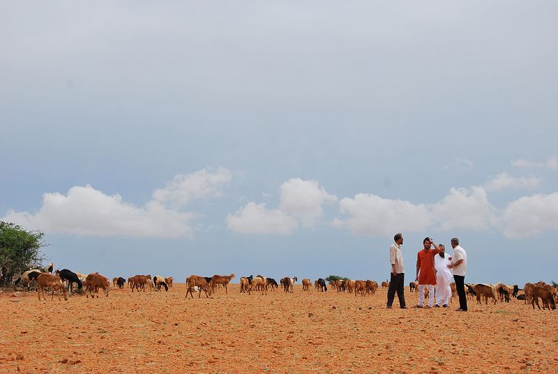 El álbum de viaje de 'Vicente Ferrer'