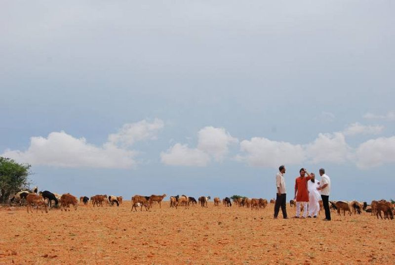  El álbum de viaje de 'Vicente Ferrer'