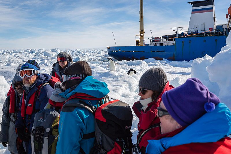 Dos pingüinos son testigos del rescate de la expedición, que espera a un helicóptero procedente del barco chino Xue Long, desde el que serán evacuados en un rescate de unas cinco horas de duración.