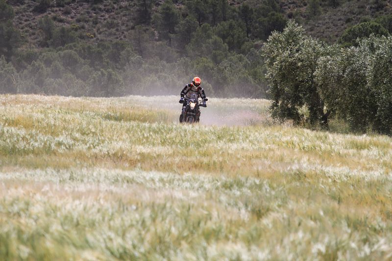 Francisco Sabater Martínez.