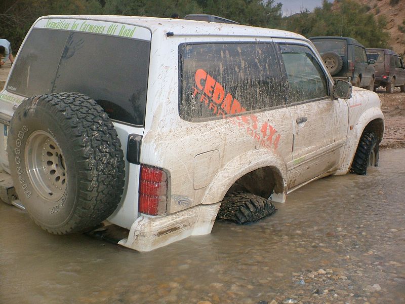 Cedares Domingo Martinez