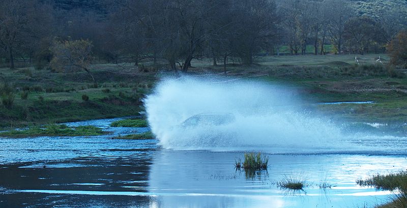 Salvador  Ruiz de la Hermosa Pardo
